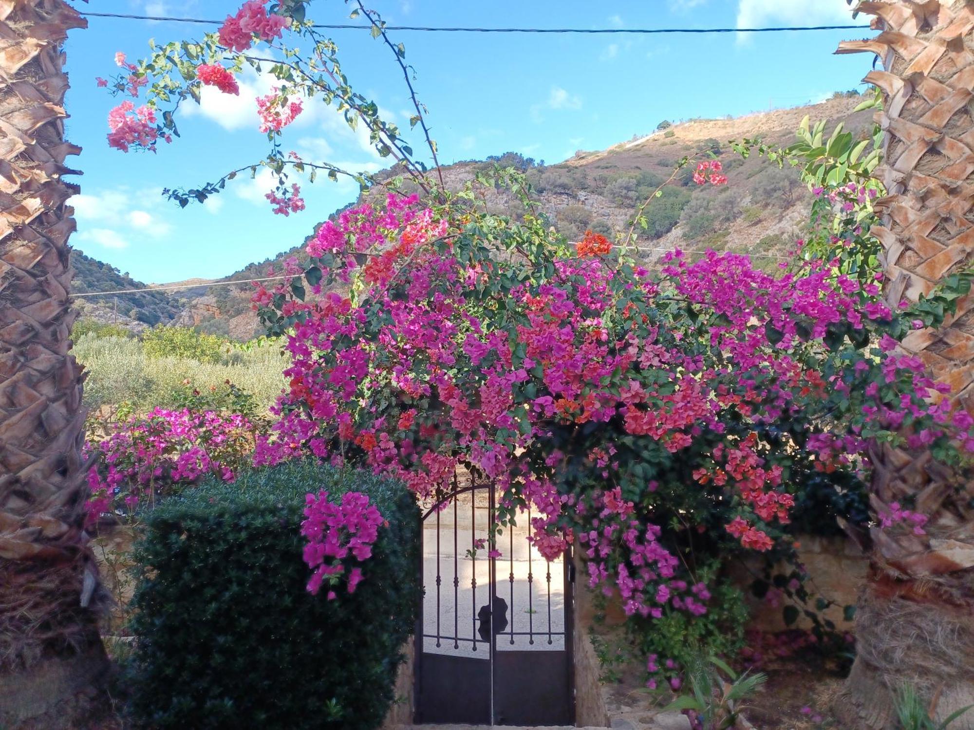 Heraklion Comfy House With Mountain View Екстер'єр фото