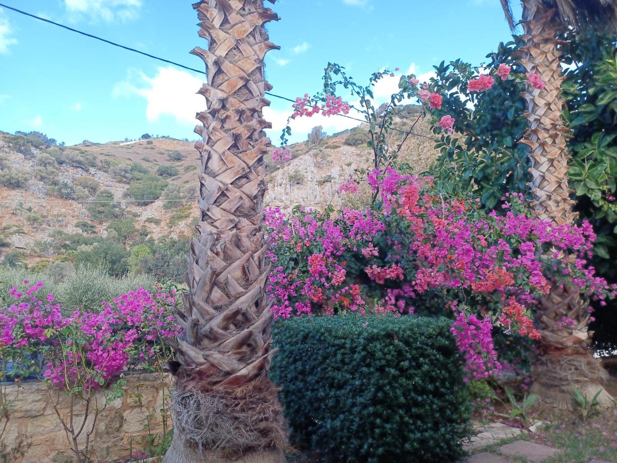 Heraklion Comfy House With Mountain View Екстер'єр фото